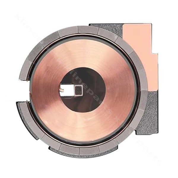 Coil Chip NFC Wireless Apple iPhone 12/12 Pro (Original)
