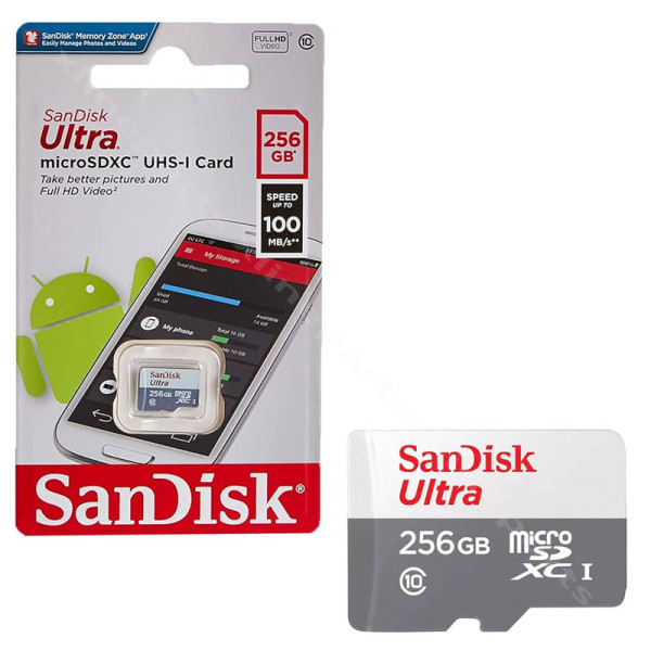 SanDisk Micro SD Class 10 256GB